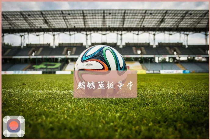 鹈鹕篮板争夺