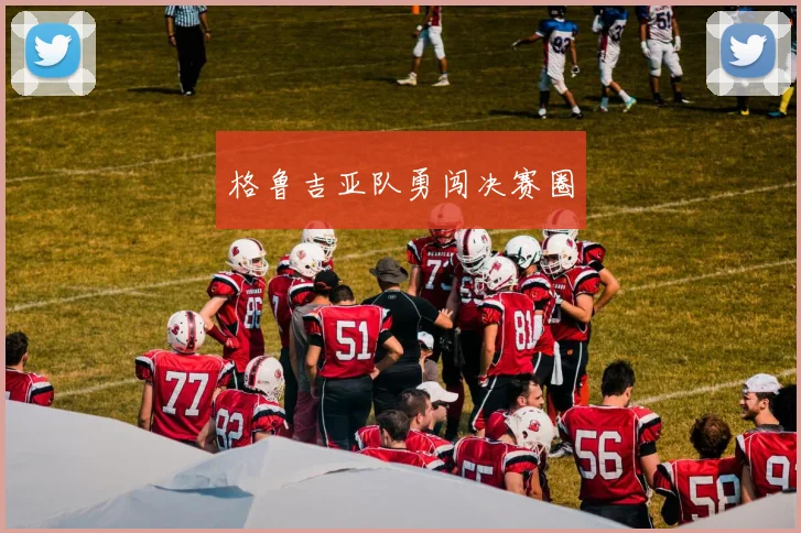 格鲁吉亚队勇闯决赛圈