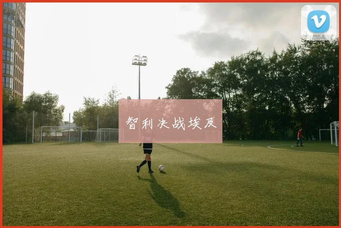智利决战埃及