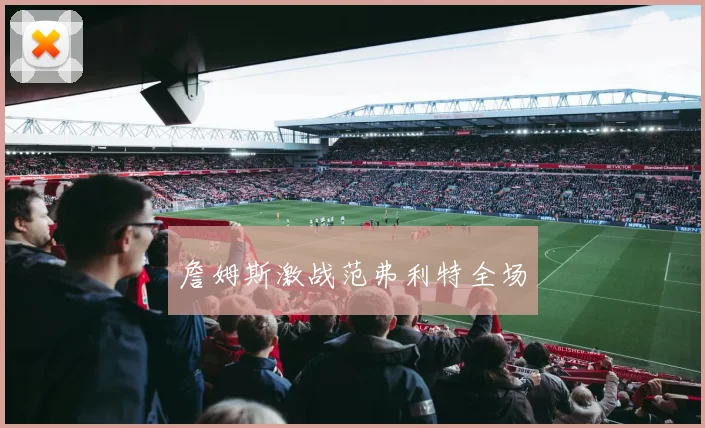 詹姆斯激战范弗利特全场