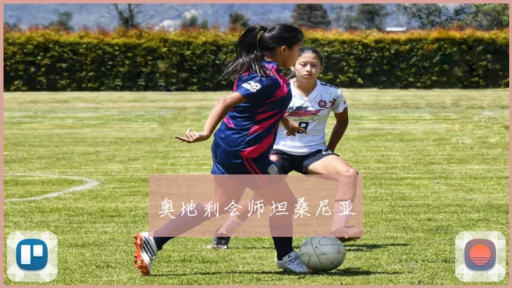 奥地利会师坦桑尼亚