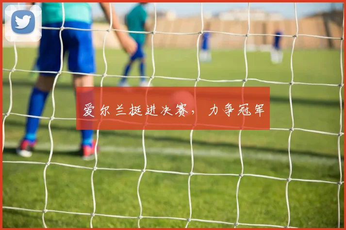 爱尔兰挺进决赛，力争冠军