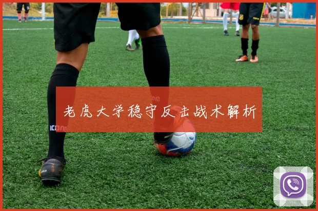 老虎大学稳守反击战术解析