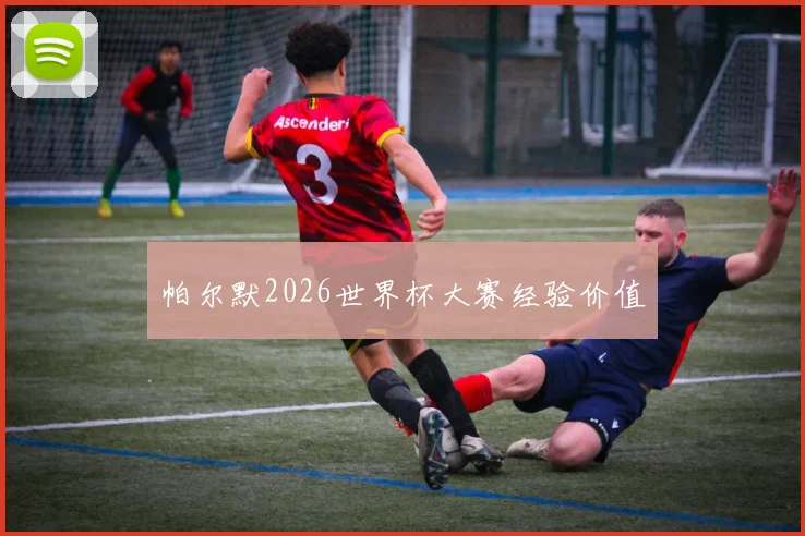 帕尔默2026世界杯大赛经验价值