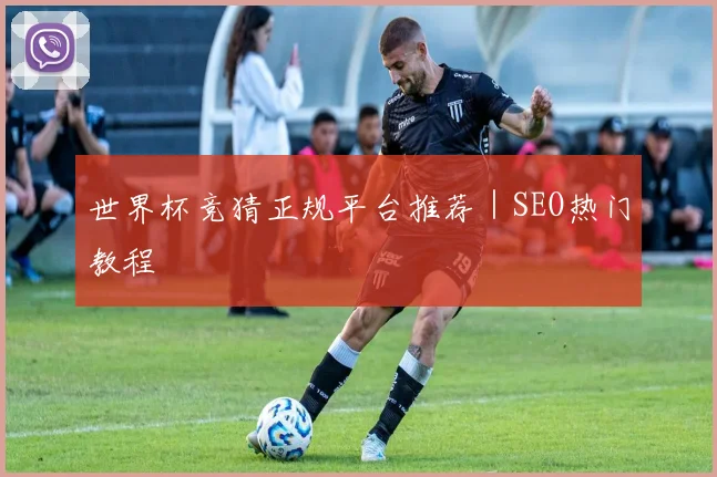 世界杯竞猜正规平台推荐｜SEO热门教程