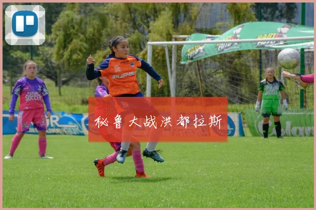 秘鲁大战洪都拉斯