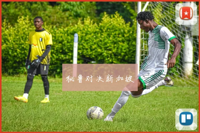 秘鲁对决新加坡