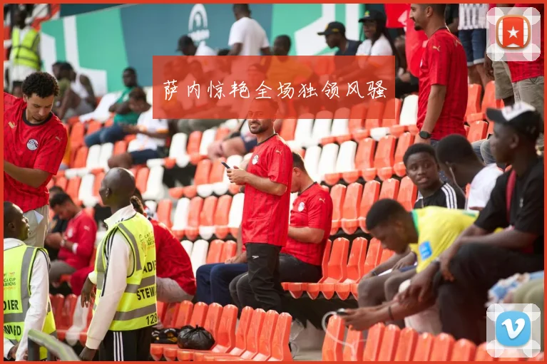 萨内惊艳全场独领风骚