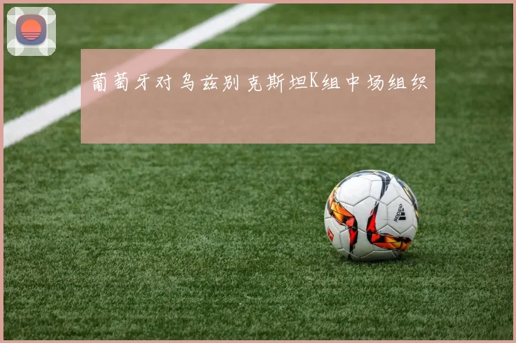 葡萄牙对乌兹别克斯坦K组中场组织