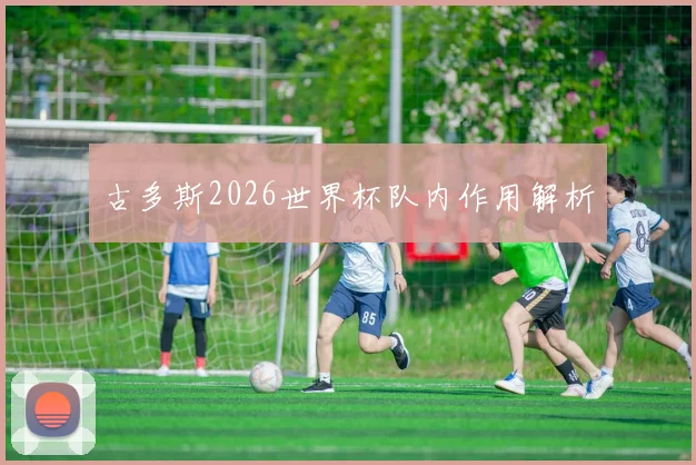 古多斯2026世界杯队内作用解析