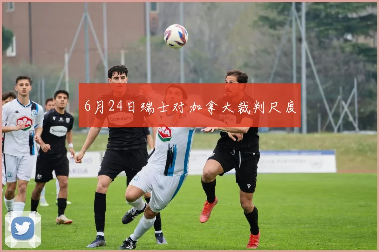 6月24日瑞士对加拿大裁判尺度